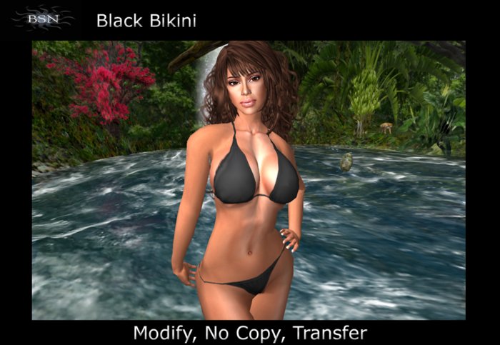 BSN Bikini - Black