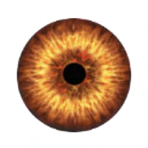 feuerauge