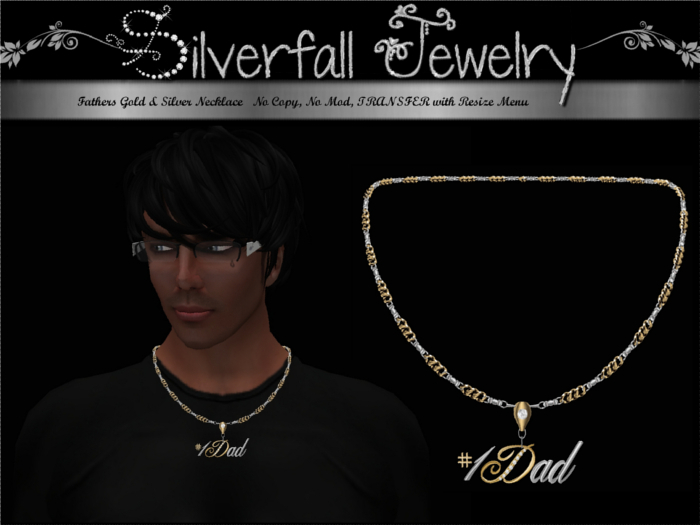 Fathers Gold & Silver Necklace