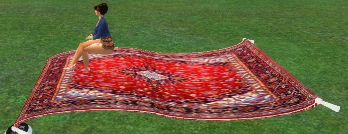 Terra Magic Carpet 5