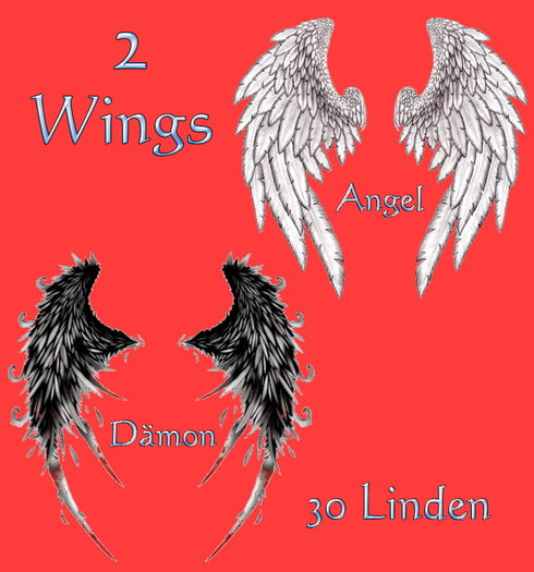 Wings Tatoo