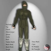 ::Evaki::  Rogue Ninja ~Green
