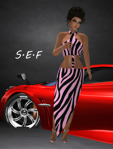 Pink Zebra FT S.E.F.