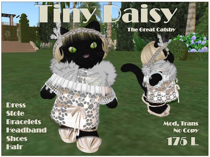 Tiny Daisy Box