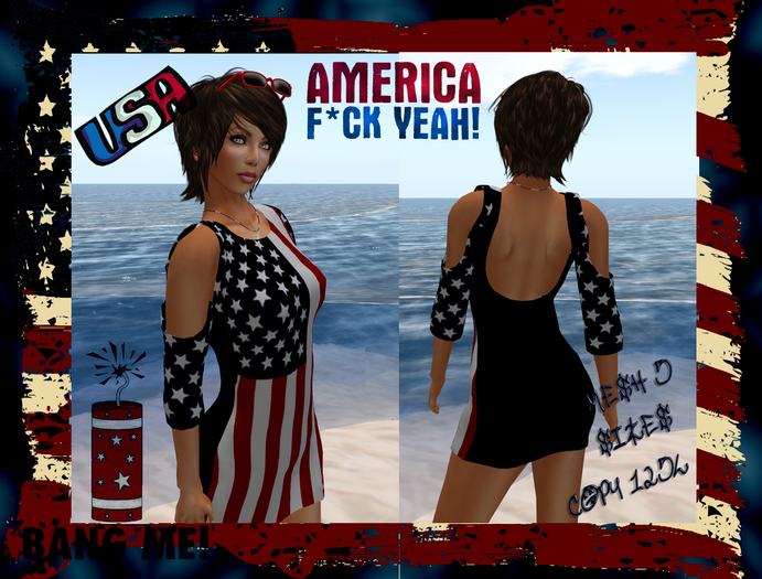 Flag Mesh Cut Out Dress