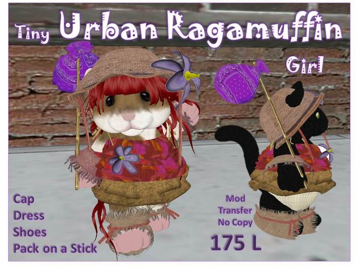 Urban Ragamuffin Girl Box