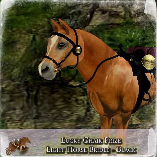 @CT@ Lucky Bridle (FHHS Petite) Boxed Black