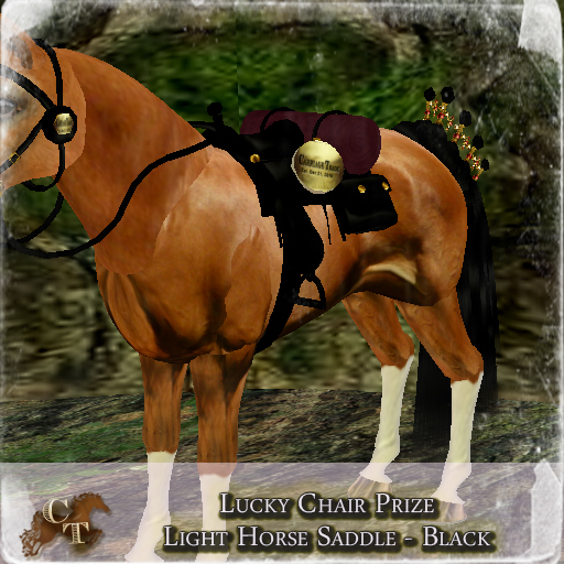 @CT@ Lucky Saddle (FHHS Petite) Boxed Black