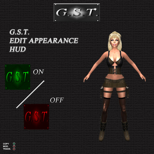 G.S.T. EDIT APPEARANCE HUD