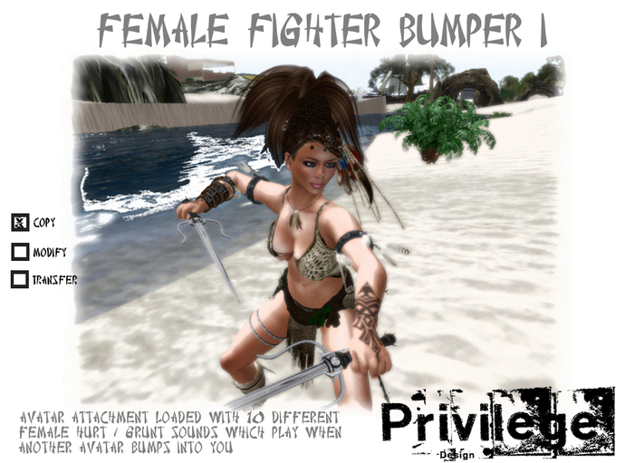Female Fighter Bumper 1