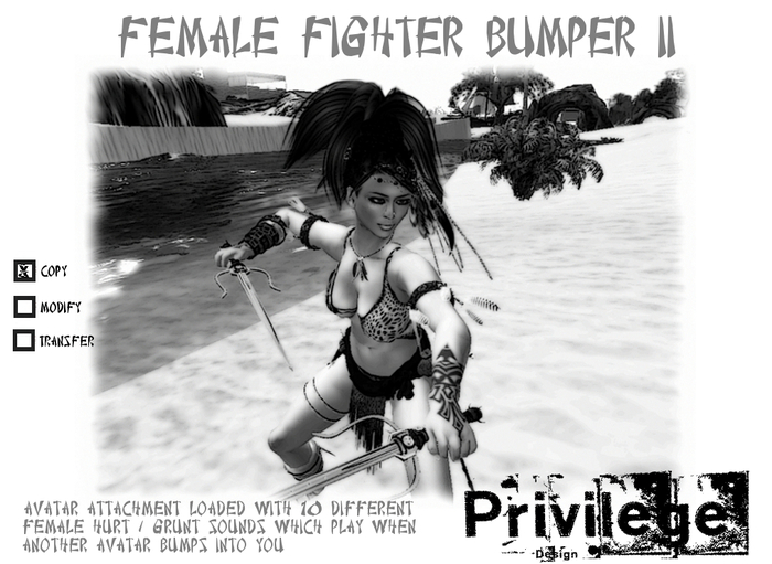 Female Fighter Bumper 2