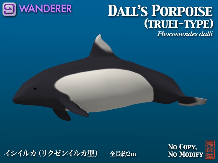 Dall's Porpoise WANDERER truei type