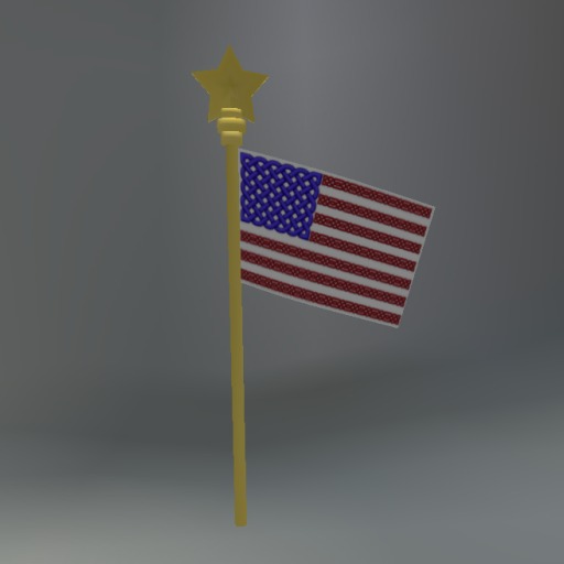 Celtic American Flag Giver box