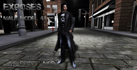 Second Life Marketplace - EXPOSES - MALE MODEL 44 - NO COPY