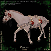 @CT@ Blossom Harness Set WHM-L BOXED