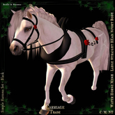 @CT@ Simple Harness Set WHML BOXED