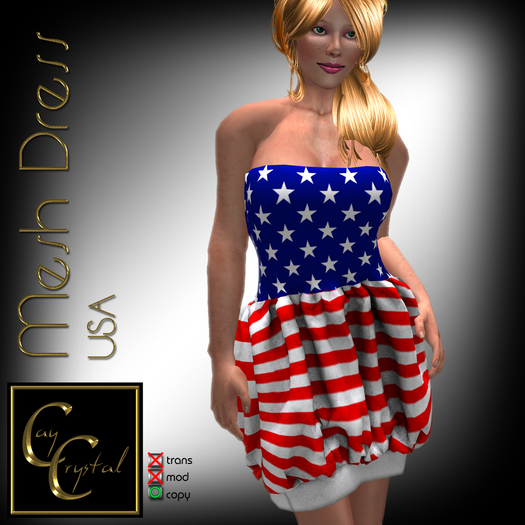 CCD Mesh Dress USA