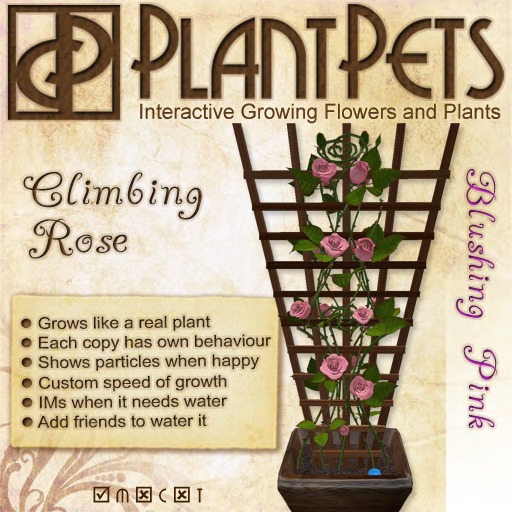 PlantPet Seed [Climbing Rose *Pink Champagne*]