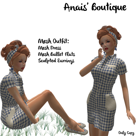 Anais' Mesh Outfit Gingham Blue