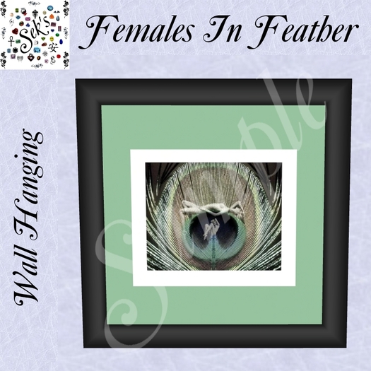 Sek's Females In Feather