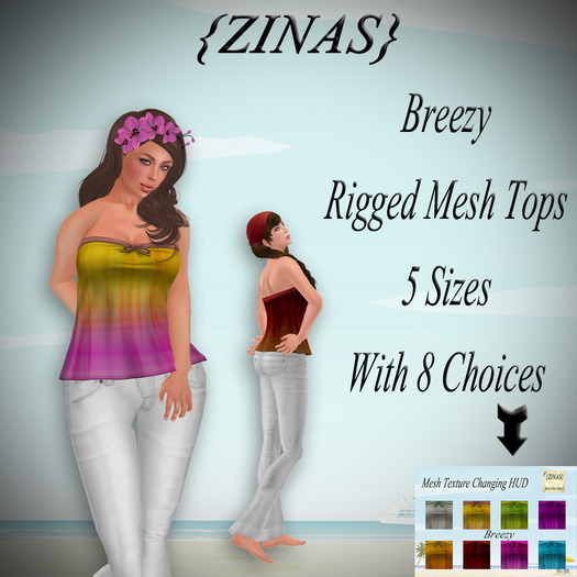{ZINAS} Breezy w/HUD