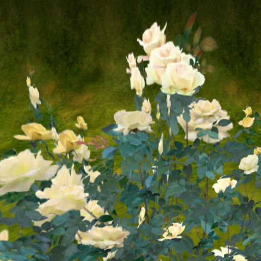Hydrangea F_pink
