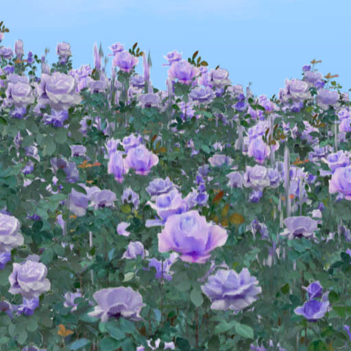 Rose Garden : Rose encompassed me purple