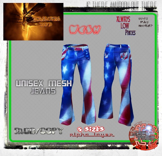 Usa Bell Bottom jeans unisex