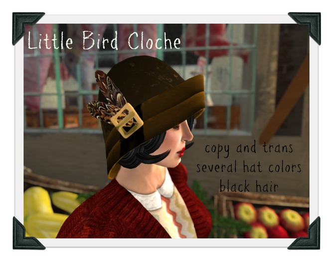 LIttle Bird Cloche/Black Hair