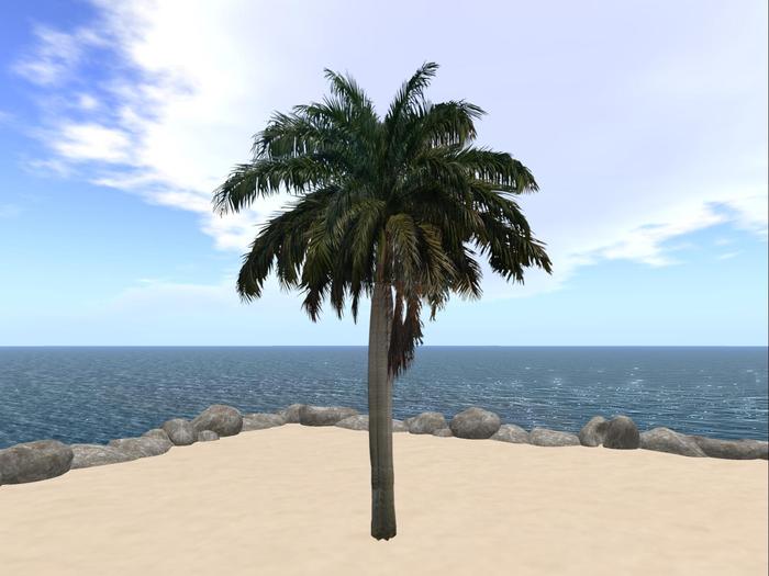 Five-in-one Palms series 01 Evergreen V4