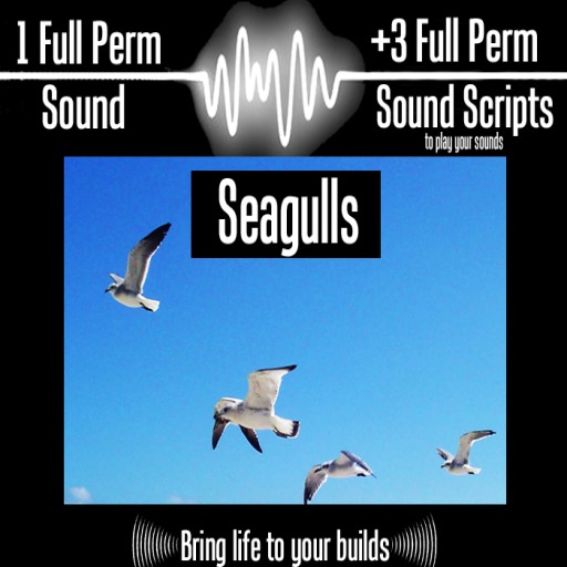 FULL PERM SOUND CLIP - SEA GULLS 01 + 3 SOUND SCRIPTS