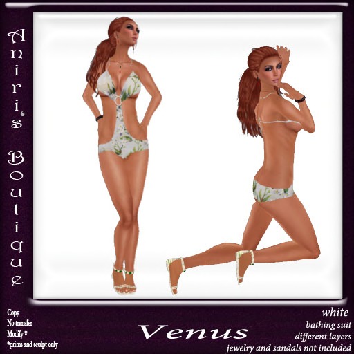 (AB) Venus white