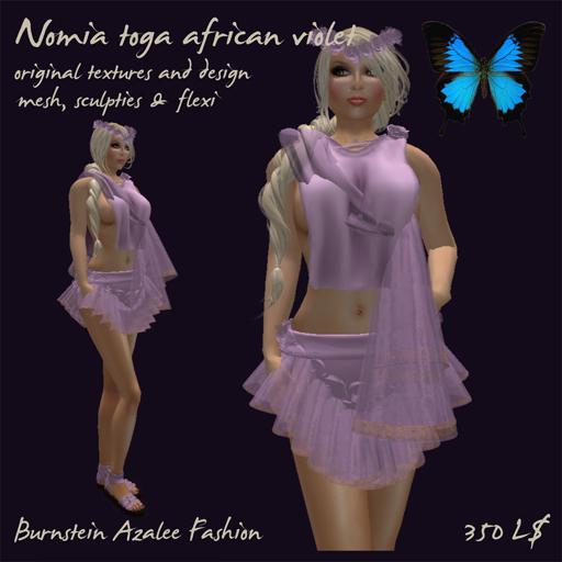 Nomia -- african violet