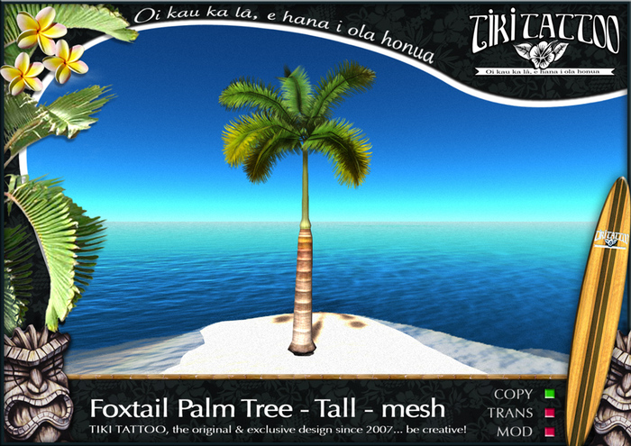 TIki Tattoo - COPY 3D Foxtail palm tree Tall - Mesh