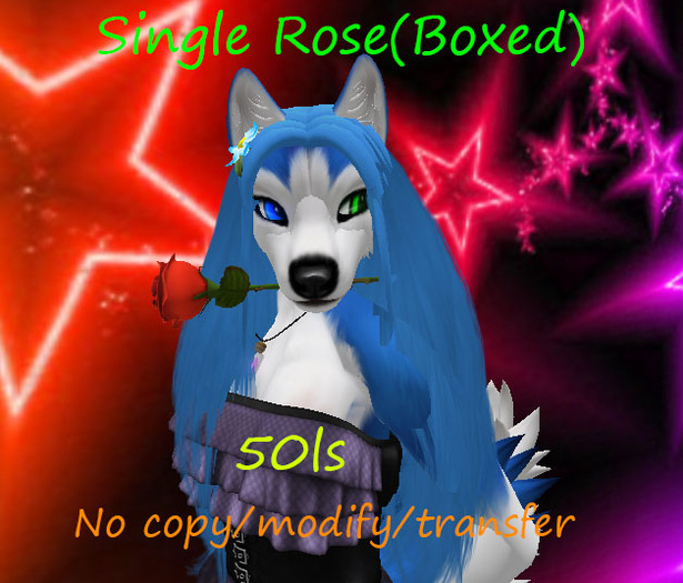 Single Rose(Boxed)