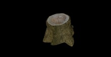 Tree stump texture 3 full perms