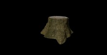 Tree stump 2 texture full perms