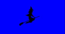 Halloween witch on broom full perms texture