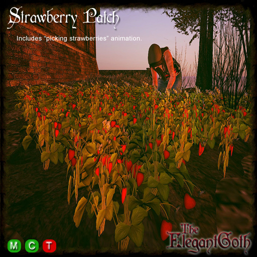 Strawberry Patch with picking animation