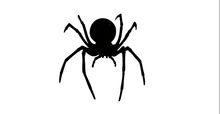 Halloween spider texture 4 full perms