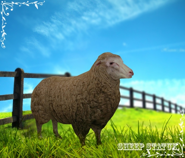 Animal Farm - Sheep