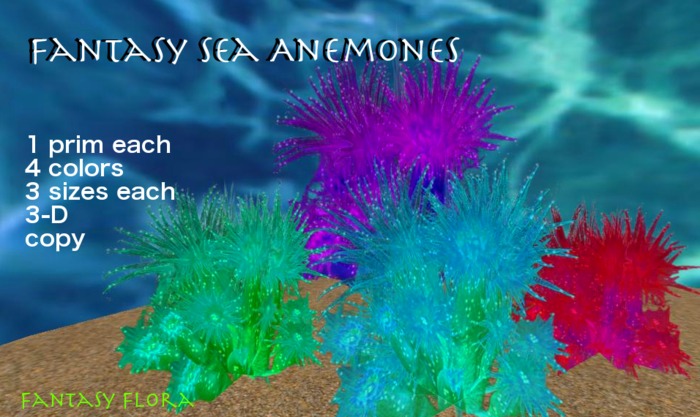 W: Fantasy Sea Anemones