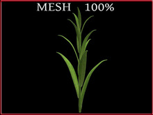 T-3D Creation [PLANT] MESH - Full Perm