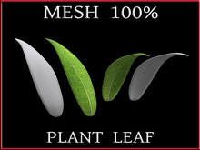 T-3D Creations [PLANT LEAF] MESH - Full Perm -