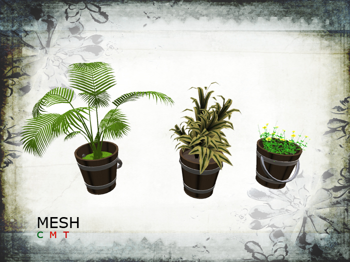 Mesh, Plants on Bucket