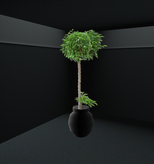 vmplant9