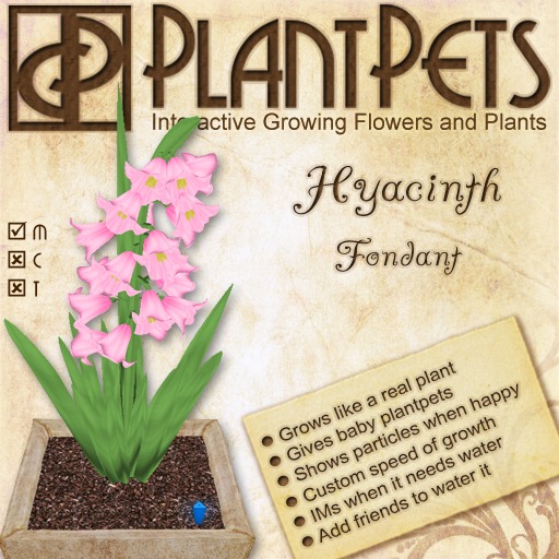 PlantPet Seed [Hyacinth *Fondant*]