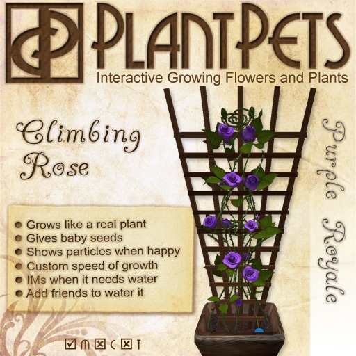 PlantPet Seed [Climbing Rose *Silver Streak*]