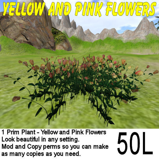 Yellow and Pink Flowers