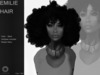 North hair poster demo